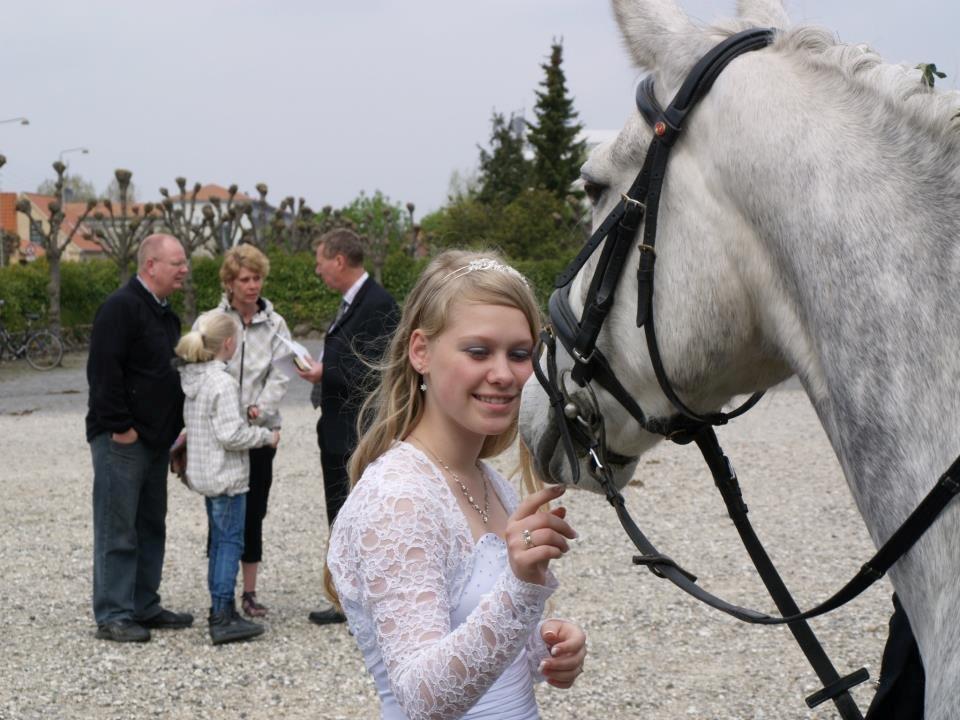 Connemara Blue Rossi (tid. part) - Han kom til min konfirmation^^  billede 4