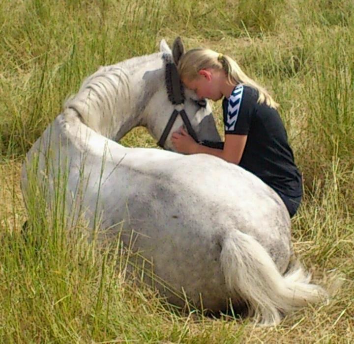 Connemara Blue Rossi (tid. part) - Min sidste dag med ham billede 8