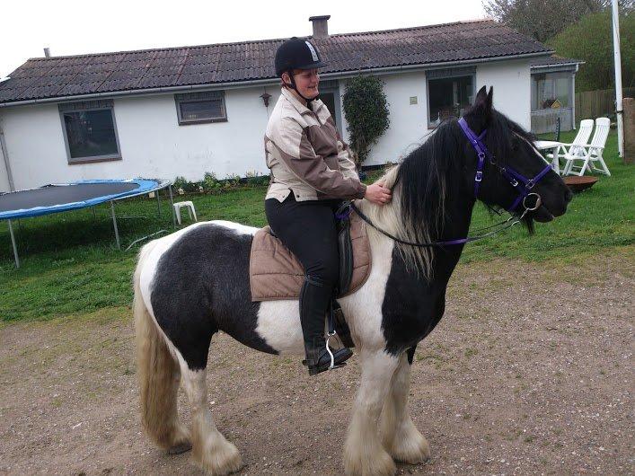 Irish Cob Camilla (Dorit) - På vej på tur med Julia. billede 6