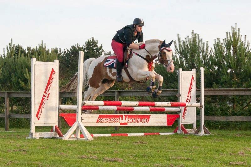 Pinto Nikolaj af Dutterup - Genoptræning HAR givet pote !!! :D <3 billede 14