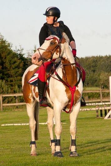 Pinto Nikolaj af Dutterup billede 15