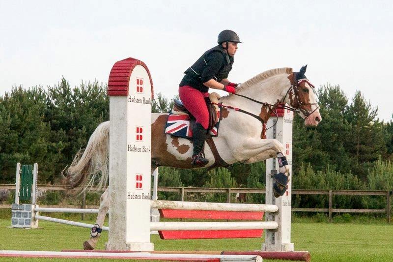 Pinto Nikolaj af Dutterup billede 16