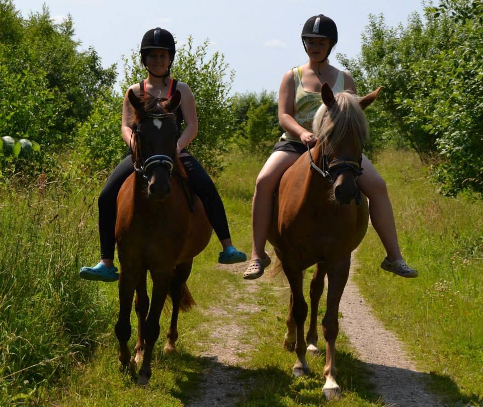 Anden særlig race Marielunds Faiht!<3 My Soulmate!<3 - The best in the world <3 billede 11