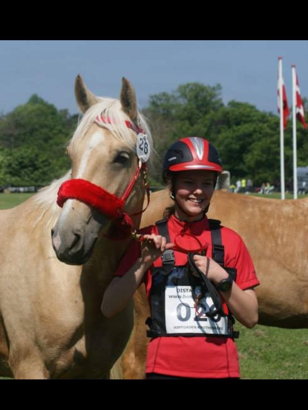 Palomino Pineappel billede 10