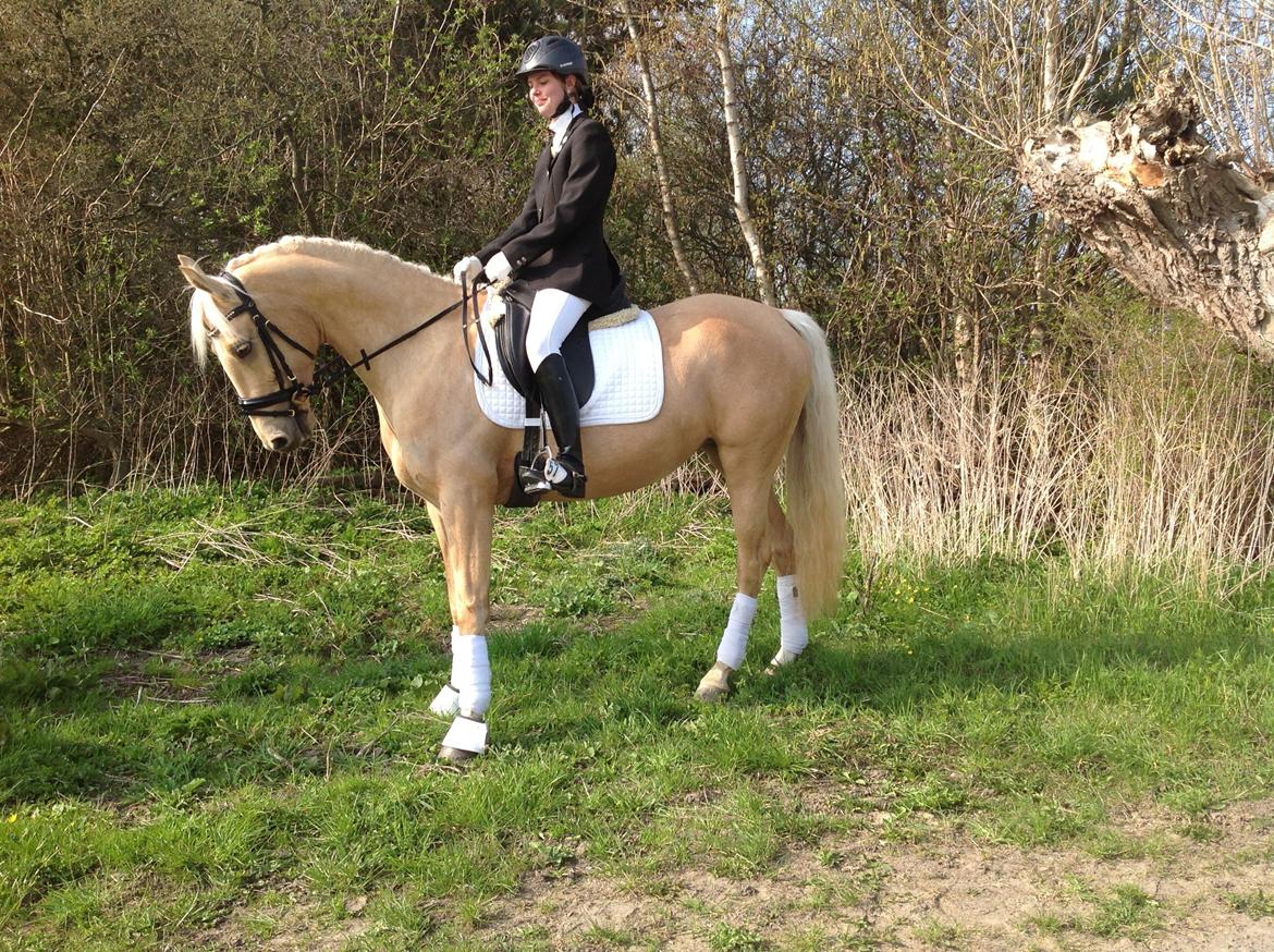 Palomino Pineappel billede 11