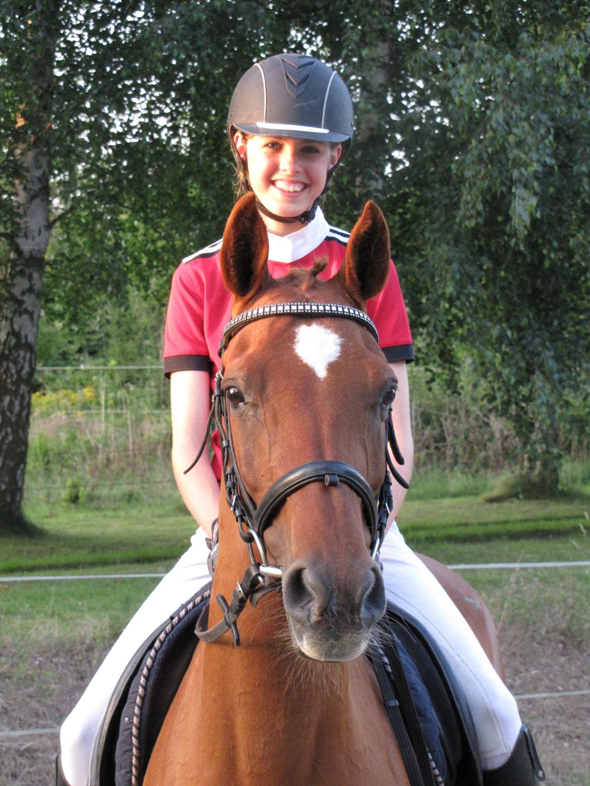 Hollandsk Sportspony Xana Maxima - Dejlige og smukke pony!<3 billede 4