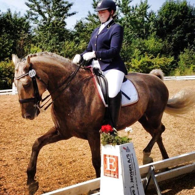 Palomino CHOPALI - Danish Youth Dressage, Hjallerup juli 2013 billede 4