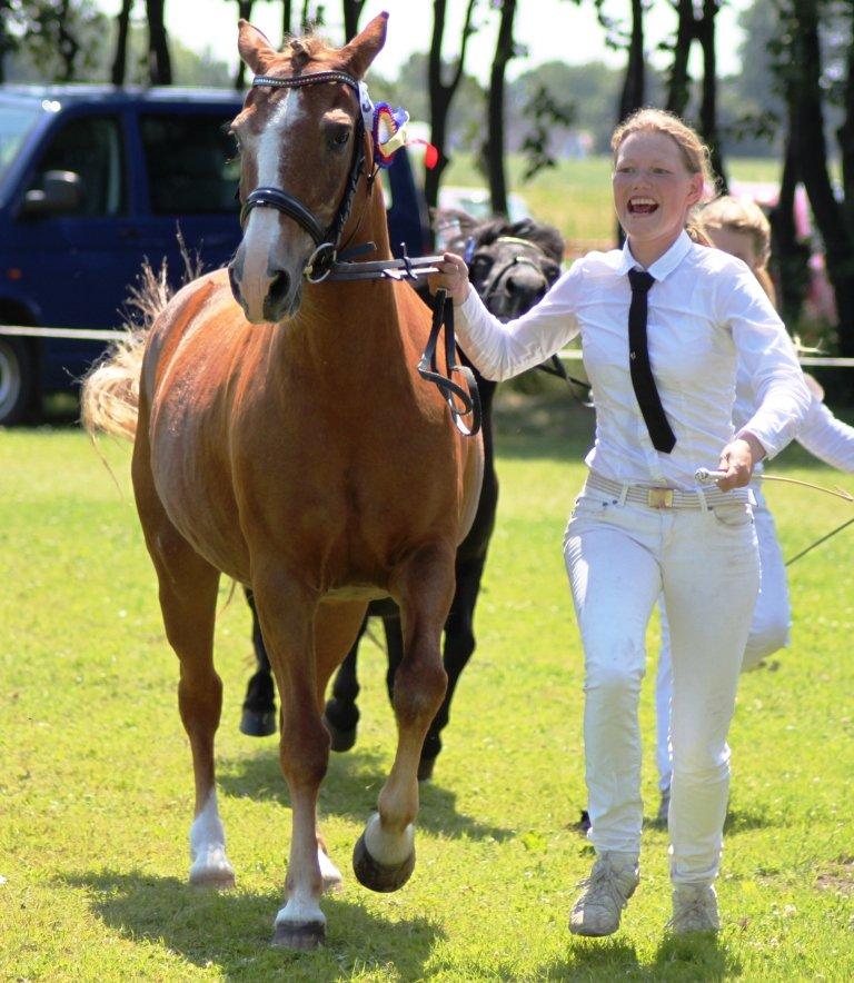 New Forest Folehaves Nathali * klubmester i spring 2013* - Gørlev hesteskue 2013 billede 18