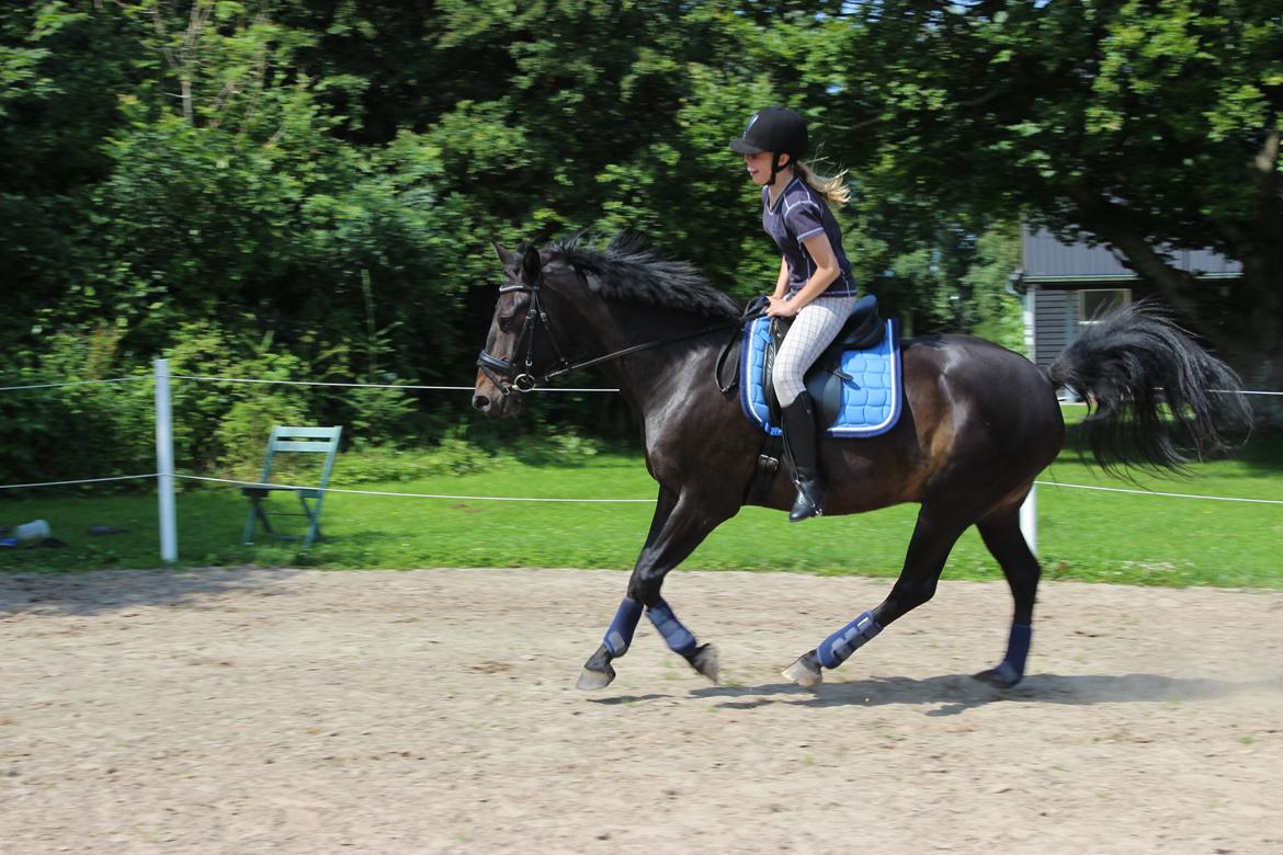 Oldenborg La&#180;vett - Haha var lige ved at flyve af i svinget:D billede 6