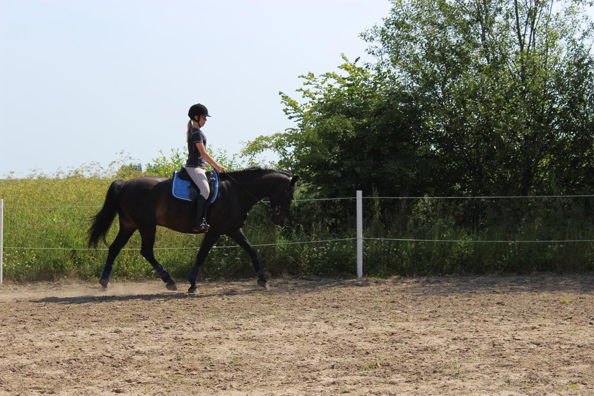 Oldenborg La&#180;vett billede 18