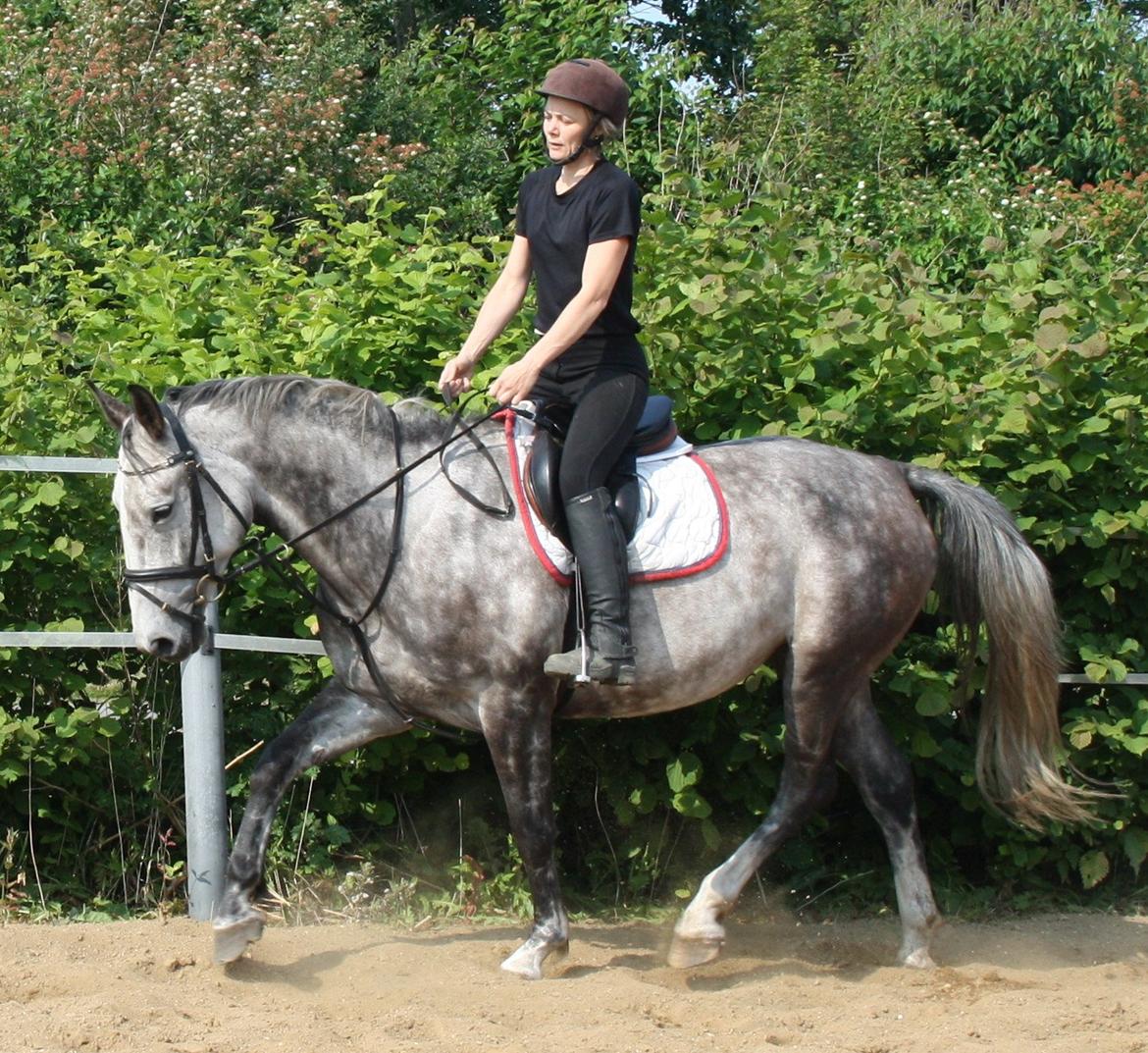 Anden særlig race Cara - SOLGT billede 18