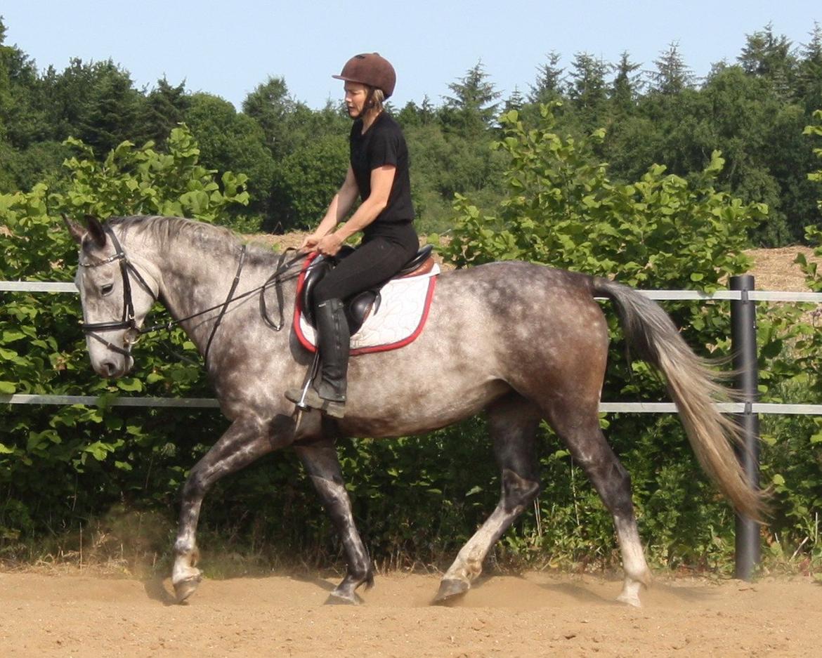 Anden særlig race Cara - SOLGT billede 19