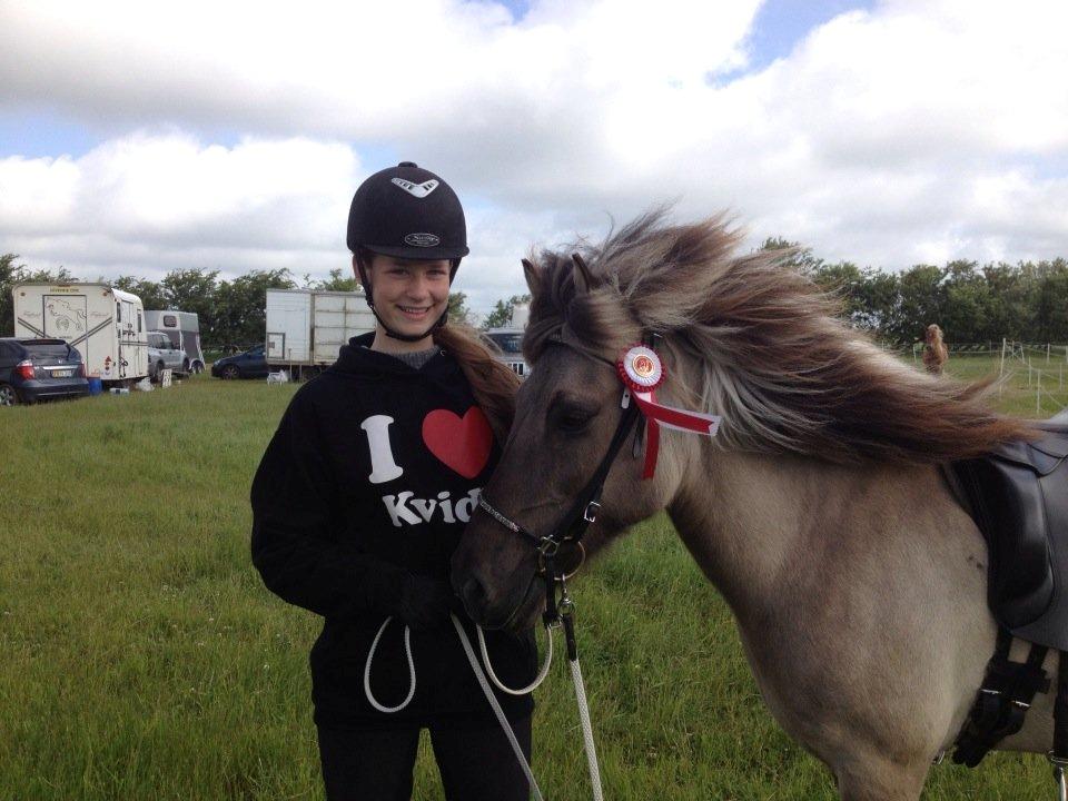 Islænder Kviða fra Hellu - 1. plads i T8❤ billede 12