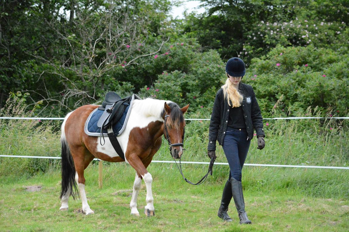 Anden særlig race Pinocchio Star billede 18