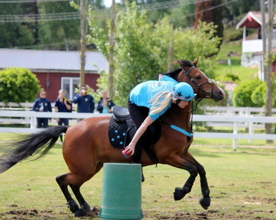 Anden særlig race Shah Little Miss May - Nissecup 14-16 juni 1013.
Sverige billede 13