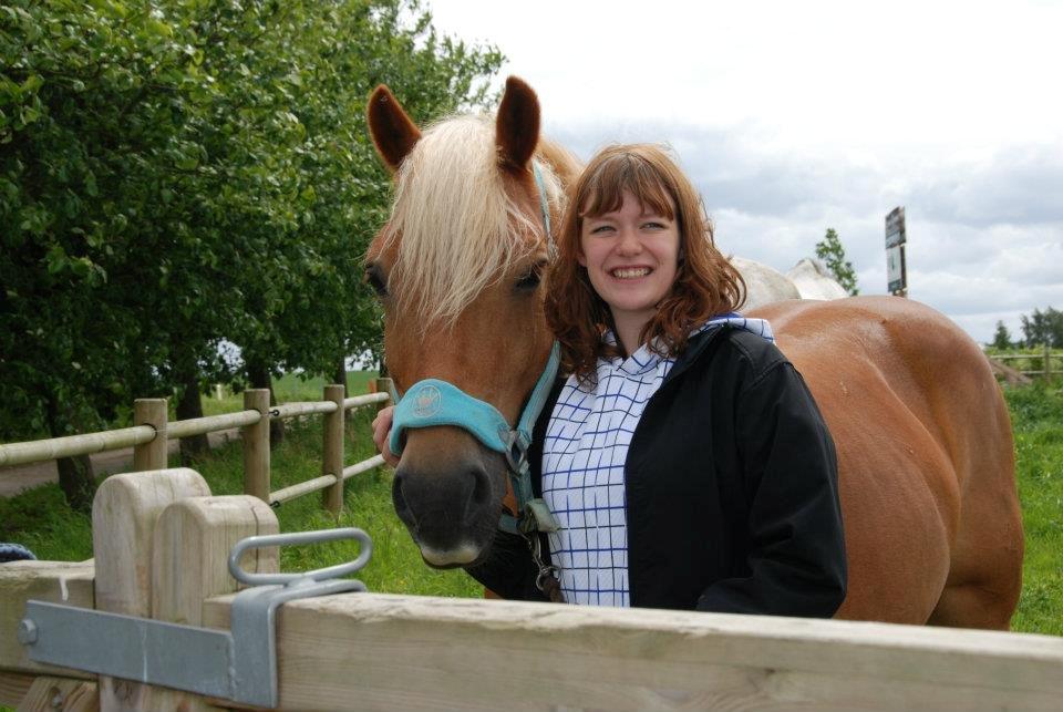Haflinger Monday Vanja R.I.P billede 14