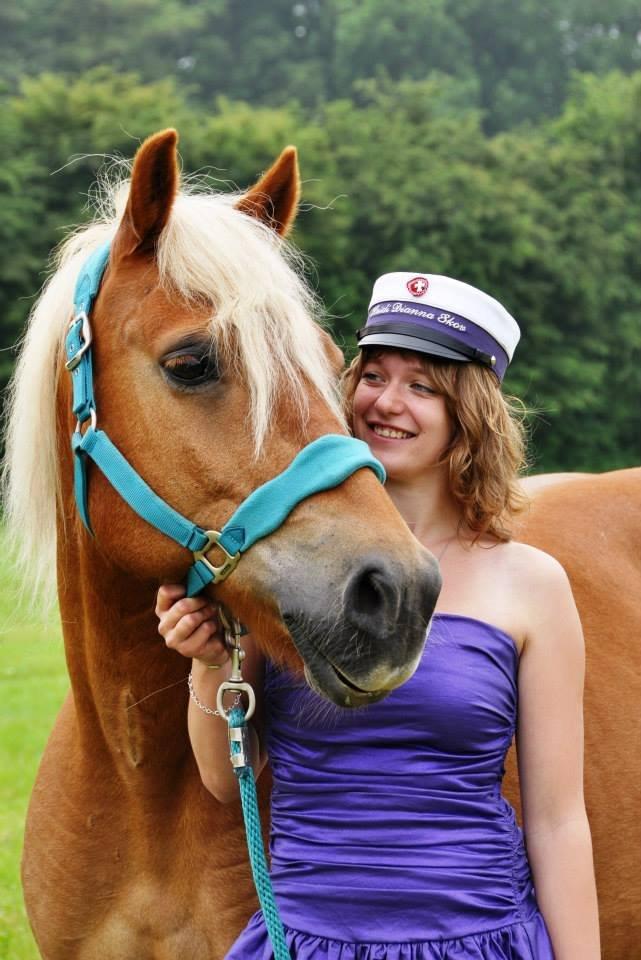 Haflinger Monday Vanja R.I.P billede 16