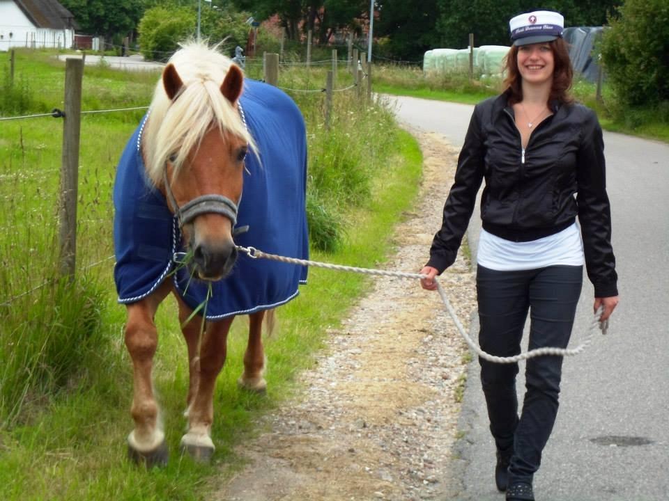 Haflinger Monday Vanja R.I.P billede 20