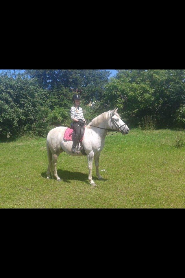 Anden særlig race Jumbi <3 - Mig (Stinna) og Jumbi billede 2