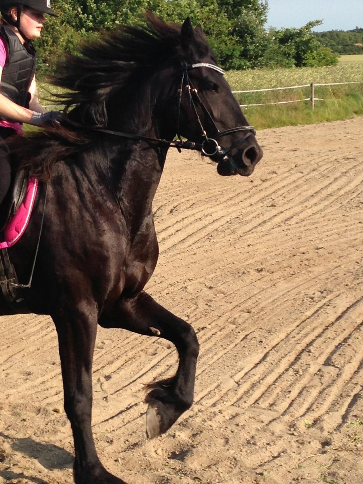 Frieser Karstina billede 5