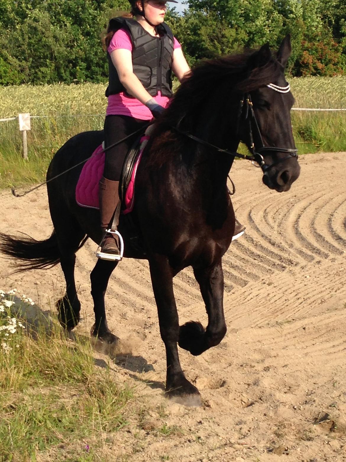 Frieser Karstina billede 6