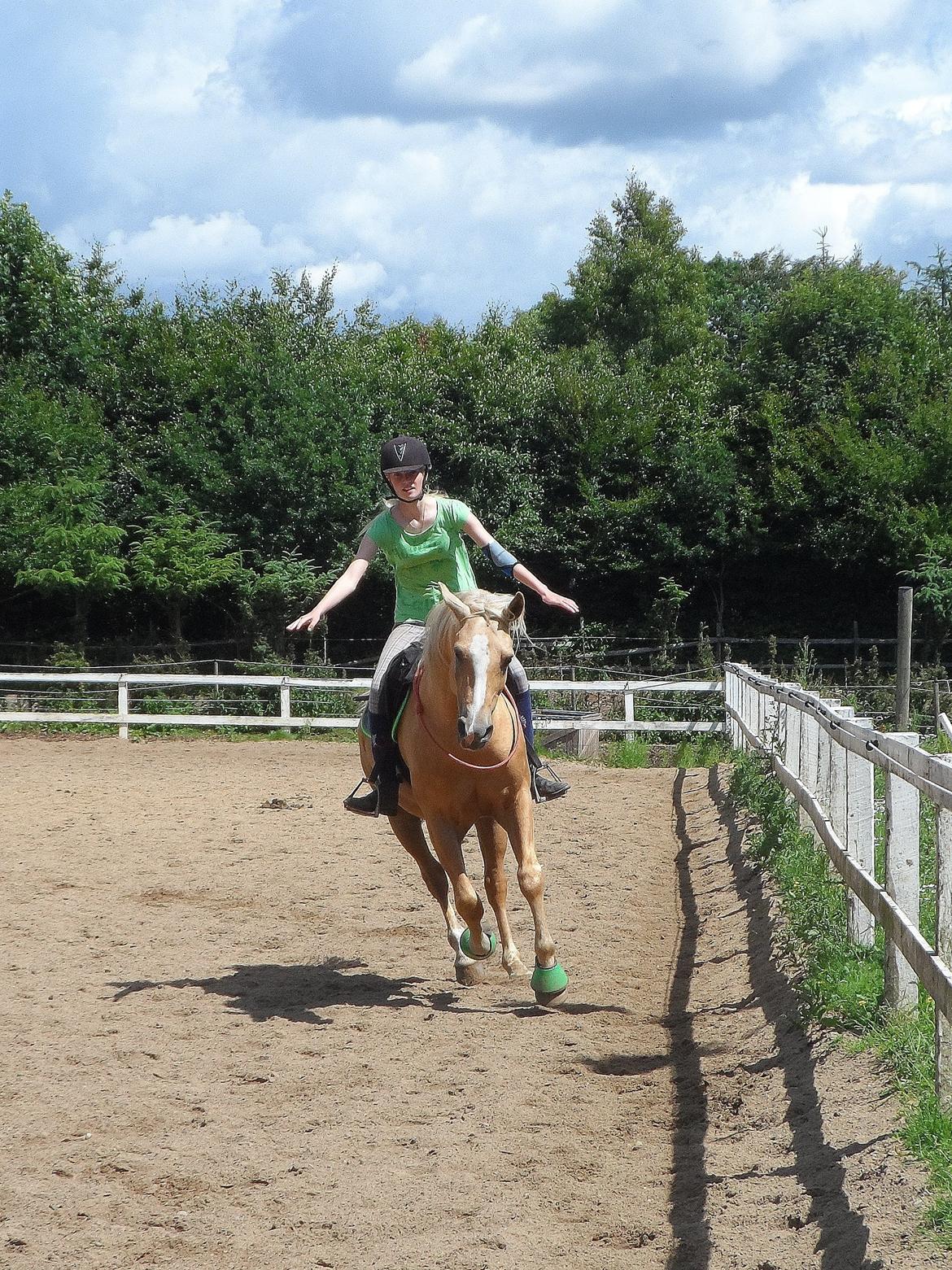 Palomino SKOVLYST'S LOGAN - galop på bassen i cordeo :D billede 10