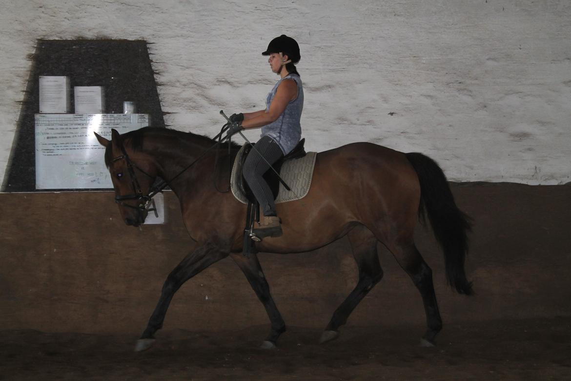 Anden særlig race Desherri billede 10