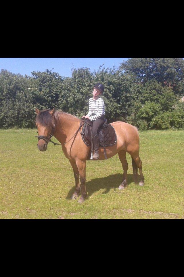 Anden særlig race Brie <3 <3 - HYYGGEE !!!!! <3  billede 1