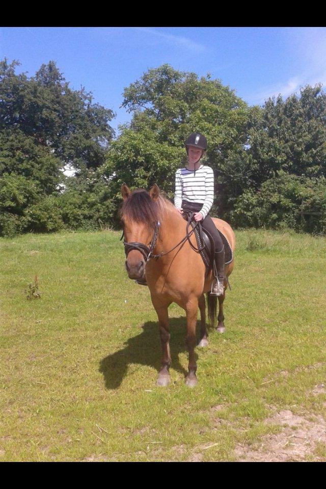 Anden særlig race Brie <3 <3 - Smukke tøs billede 8