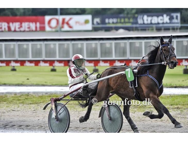 {{currentPhoto.altText}} billede {{currentPhoto.number}}