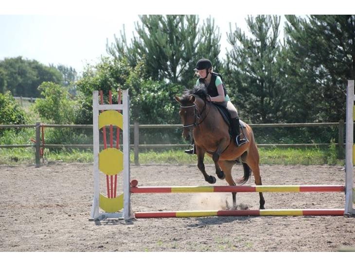 {{currentPhoto.altText}} billede {{currentPhoto.number}}