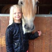 Anden særlig race Smilla