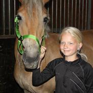 Anden særlig race Smilla