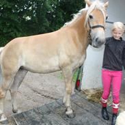 Anden særlig race Smilla