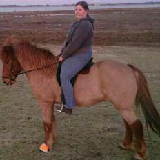 Islænder Kari fra kaldal