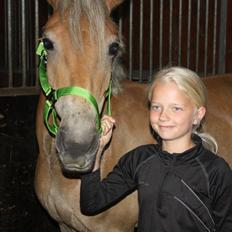 Anden særlig race Smilla