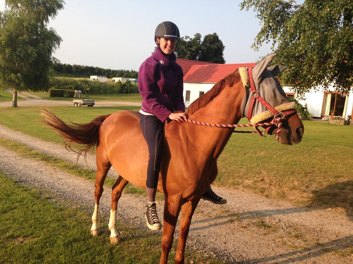 Hollandsk Sportspony Xana Maxima - Har haft ponyen i 1 dag og rider i grime og træktov og uden sadel!<3 Kun fordi jeg stoler på mussen! :-* billede 6
