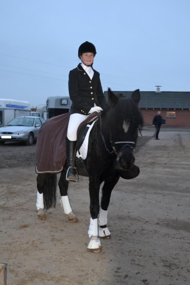 New Forest Odbjergs Anytime - Stævne i Hjallerup.  billede 4