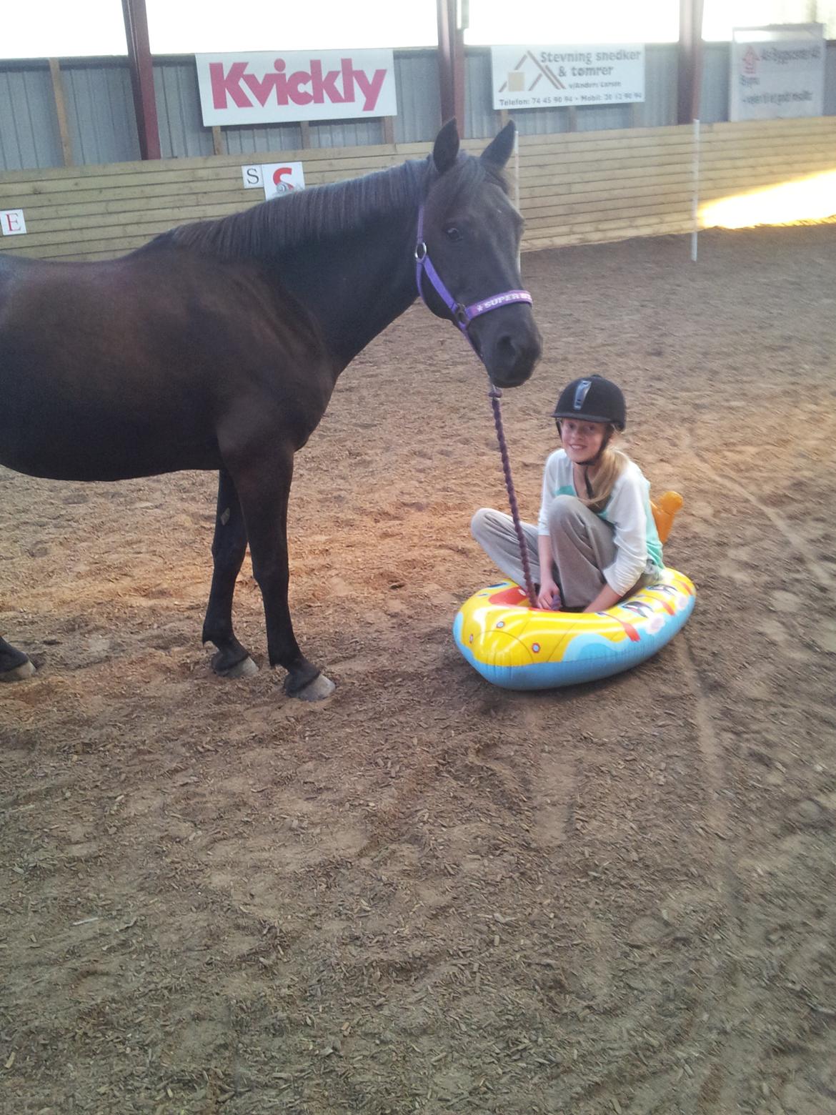 Anden særlig race Kiabella - hygge <3 horsemanship billede 18