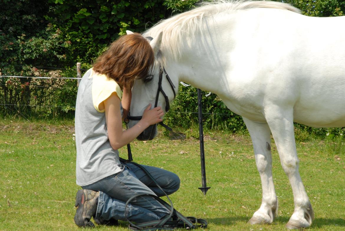 Islænder Hlín fra Helgenæs<3 - "We fit together like two pieces of a broken heart..." <'3 Foto: Ole Bak Jakobsen 08.07.13 billede 13