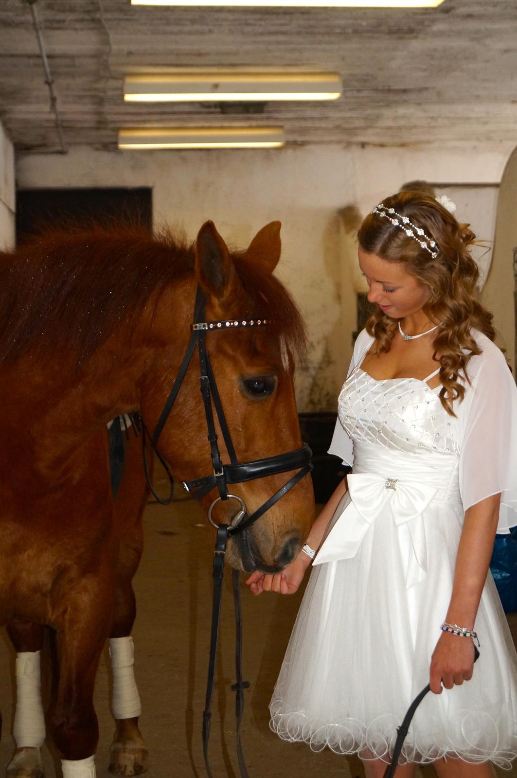 Anden særlig race Indian Star - Star og jeg til min konfirmation 23. Marts 2013 billede 5