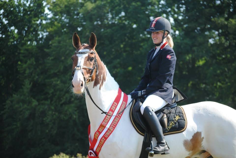 Anden særlig race Lucky Luke - Danmarksmester for Junior/youngrider 2013 <3 billede 1