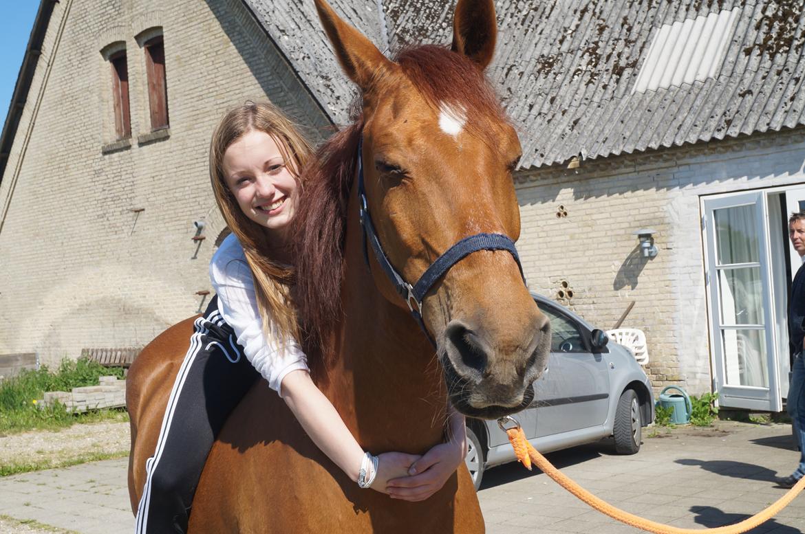 Anden særlig race Indian Star - Min Fødselsdag 31 Maj 2013 billede 7