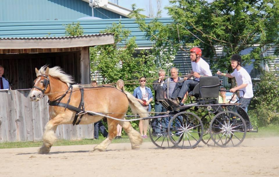 Jyde Mikkel billede 3