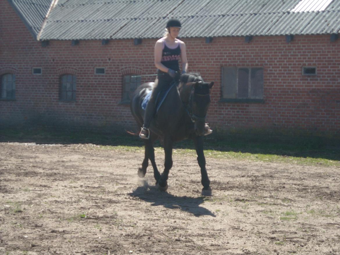 Oldenborg Bacardi Kærgård (STJERNEN billede 16