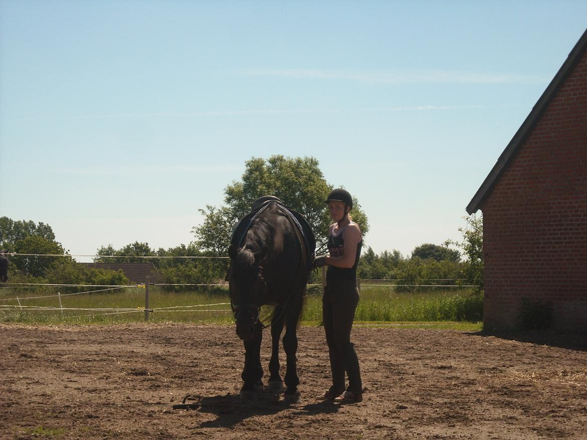 Oldenborg Bacardi Kærgård (STJERNEN billede 18