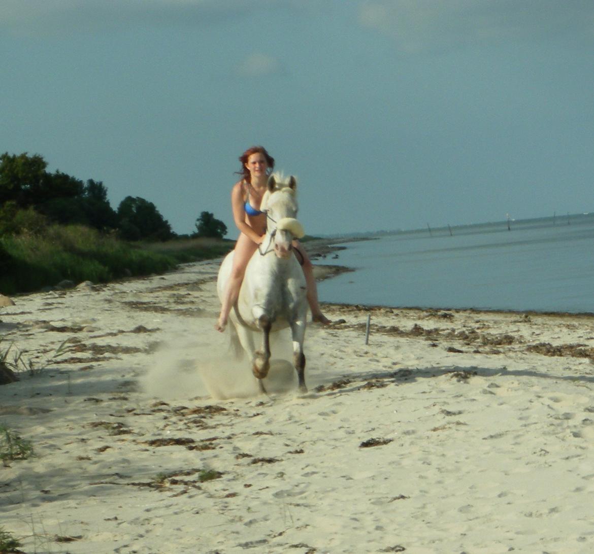 Knabstrupper Simone af lundegaard *MySoulMate! <3* billede 19