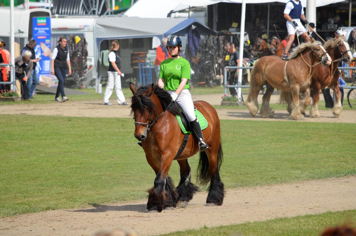 Jyde Hans - Landsskuet 2013 - fredag d. 5. juli billede 2