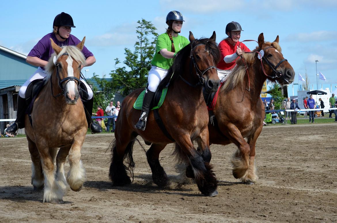 Jyde Hans - Landsskuet 2013 - lørdag d. 6. juli billede 5