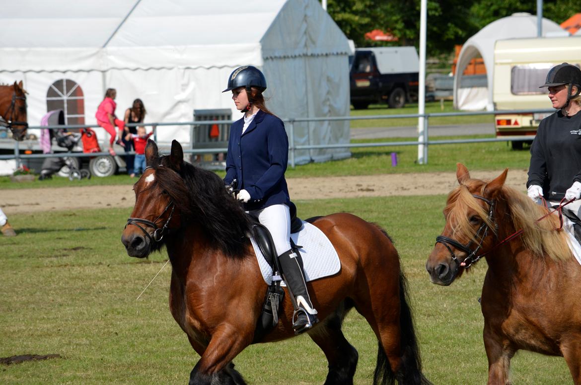 Jyde Hans - Landsskuet 2013 - lørdag d. 6. juli. Herningkvadrillen billede 6